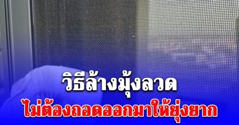 กูรูงานบ้านแนะนำ ของ 2 อย่าง ล้างมุ้งลวด ไม่ต้องถอดออกมาให้ยุ่งยาก