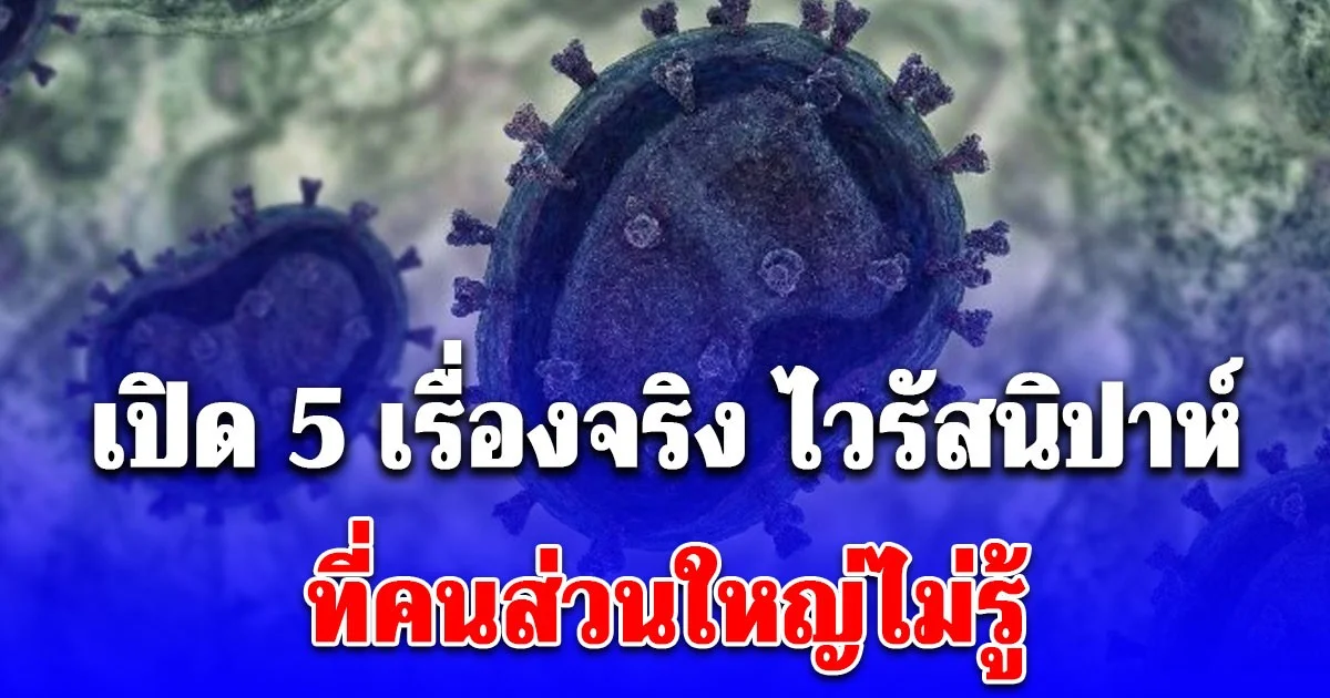 เปิด 5 เรื่องจริงเกี่ยวกับ ไวรัสนิปาห์ ที่คนส่วนใหญ่ไม่รู้