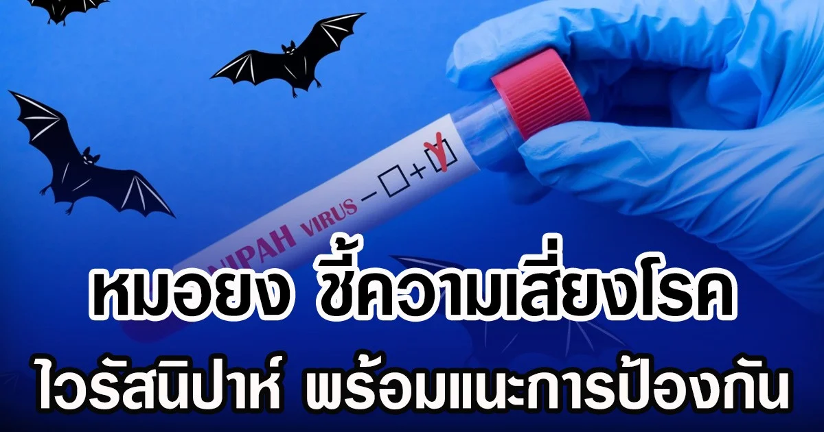 หมอยง ชี้ความเสี่ยงโรค ไวรัสนิปาห์ พร้อมแนะการป้องกัน