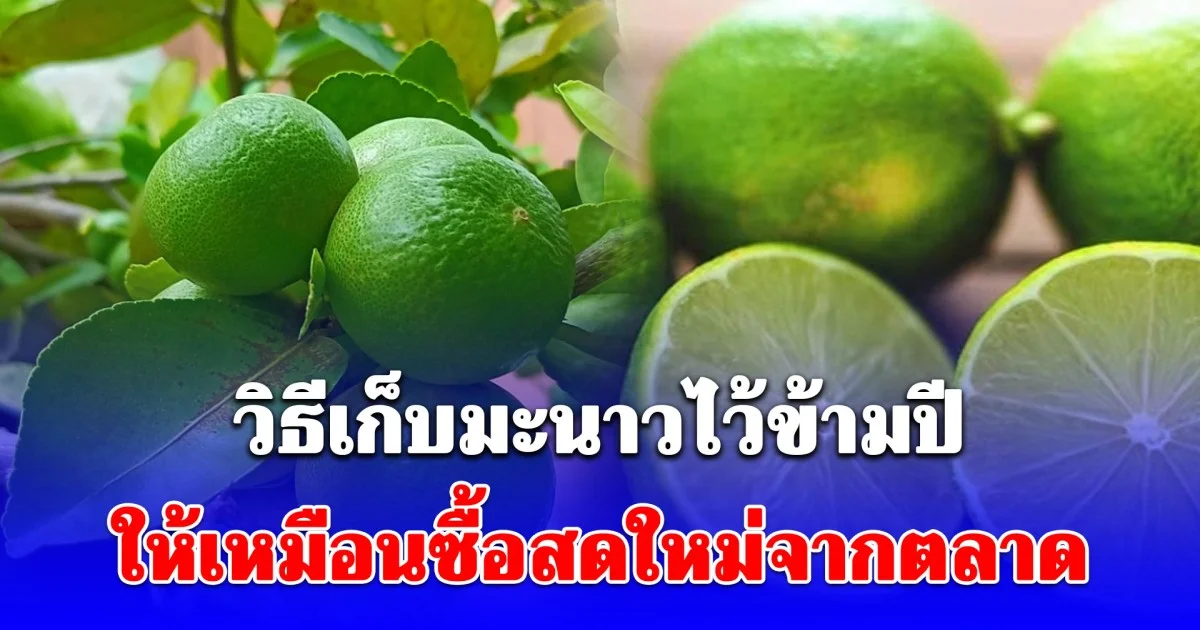 วิธีเก็บมะนาวไว้ข้ามปี ให้เหมือนซื้อสดใหม่จากตลาด