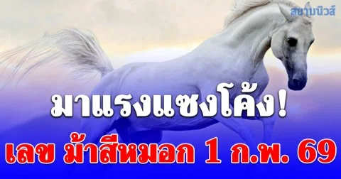 มาแรงแซงโค้ง! เลข ม้าสีหมอก 1 ก.พ. 69