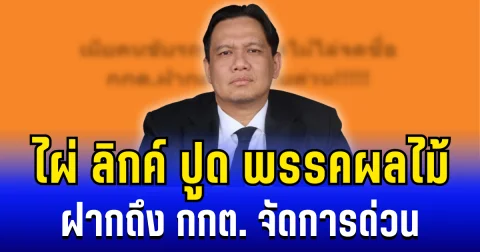 สะเทือนเเรง! ไผ่ ลิกค์ ปูด พรรคผลไม้ ฝากถึง กกต. จัดการด่วน