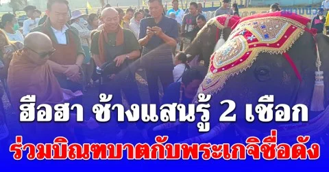 ฮือฮาช้างแสนรู้ 2 เชือกร่วมบิณฑบาตกับพระเกจิชื่อดัง แห่ส่องเลขทะเบียนรภป้ายแดง