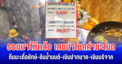 รวมมาให้เเล้ว! เลขนำโชคต้นมะเดื่อยักษ์-ขันน้ำมนต์-เงินปากนาค-เงินบริจาค คำชะโนด