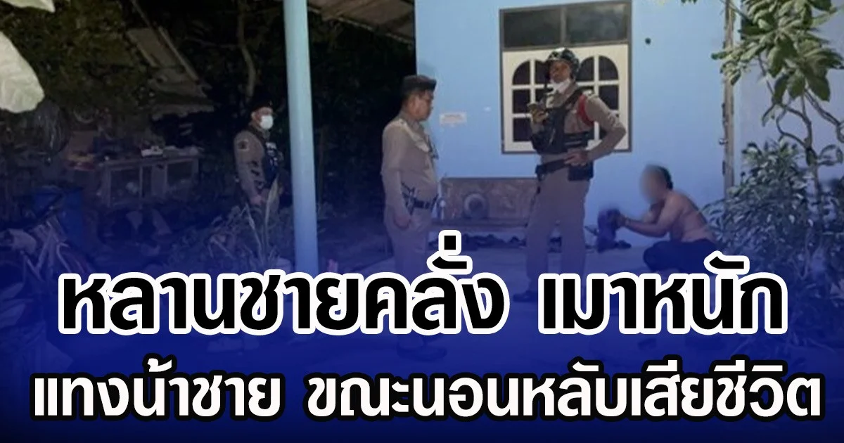 หลานชายคลั่ง เมาหนัก แทงน้าชาย ขณะนอนหลับเสียชีวิต