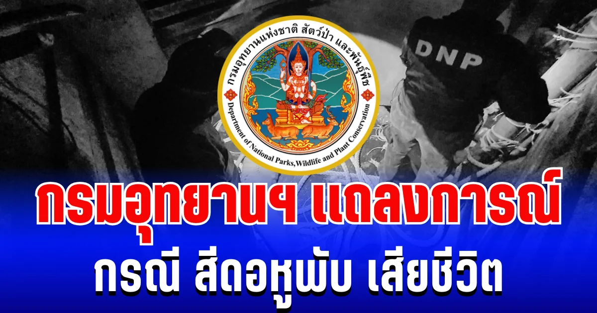 กรมอุทยานฯ เเถลงการณ์ทันที หลัง สีดอหูพับ เสียชีวิตระหว่างเคลื่อนย้าย