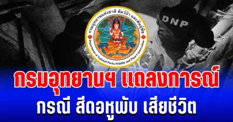 กรมอุทยานฯ เเถลงการณ์ทันที หลัง สีดอหูพับ เสียชีวิตระหว่างเคลื่อนย้าย