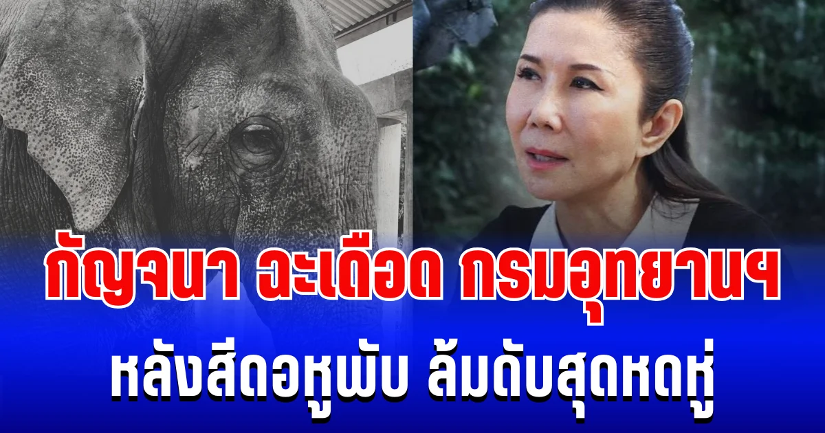 ไม่ไว้หน้า! กัญจนา ฉะเดือด กรมอุทยานฯ หลังสีดอหูพับ ล้มดับสุดหดหู่