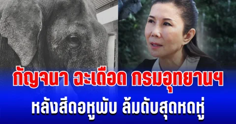 ไม่ไว้หน้า! กัญจนา ฉะเดือด กรมอุทยานฯ หลังสีดอหูพับ ล้มดับสุดหดหู่