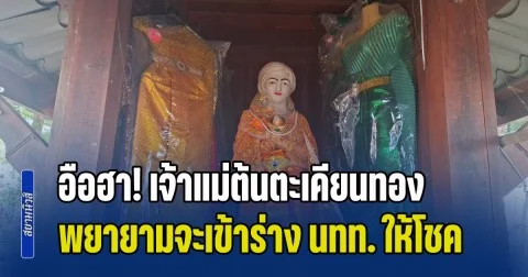 อือฮา! เจ้าแม่ต้นตะเคียนทอง อายุกว่า 300 ปี ที่ยังมีชีวิตอยู่ พยายามจะเข้าร่างนักท่องเที่ยว ให้โชคลาภ