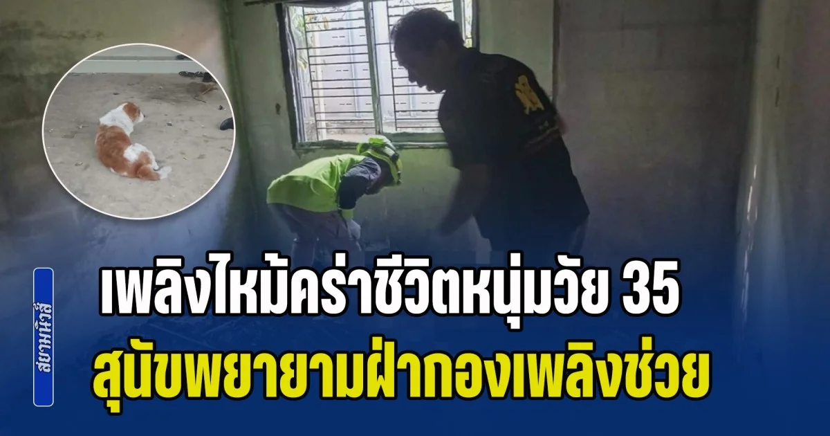 น่าเวทนา! เพลิงไหม้คร่าชีวิตหนุ่มวัย 35 คาห้องนอน สุนัขพยายามฝ่ากองเพลิงช่วย