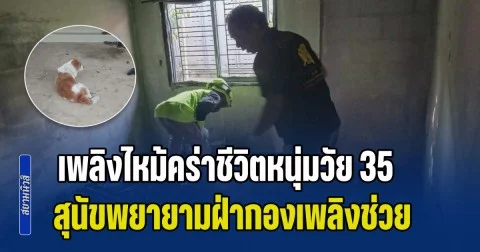 น่าเวทนา! เพลิงไหม้คร่าชีวิตหนุ่มวัย 35 คาห้องนอน สุนัขพยายามฝ่ากองเพลิงช่วย