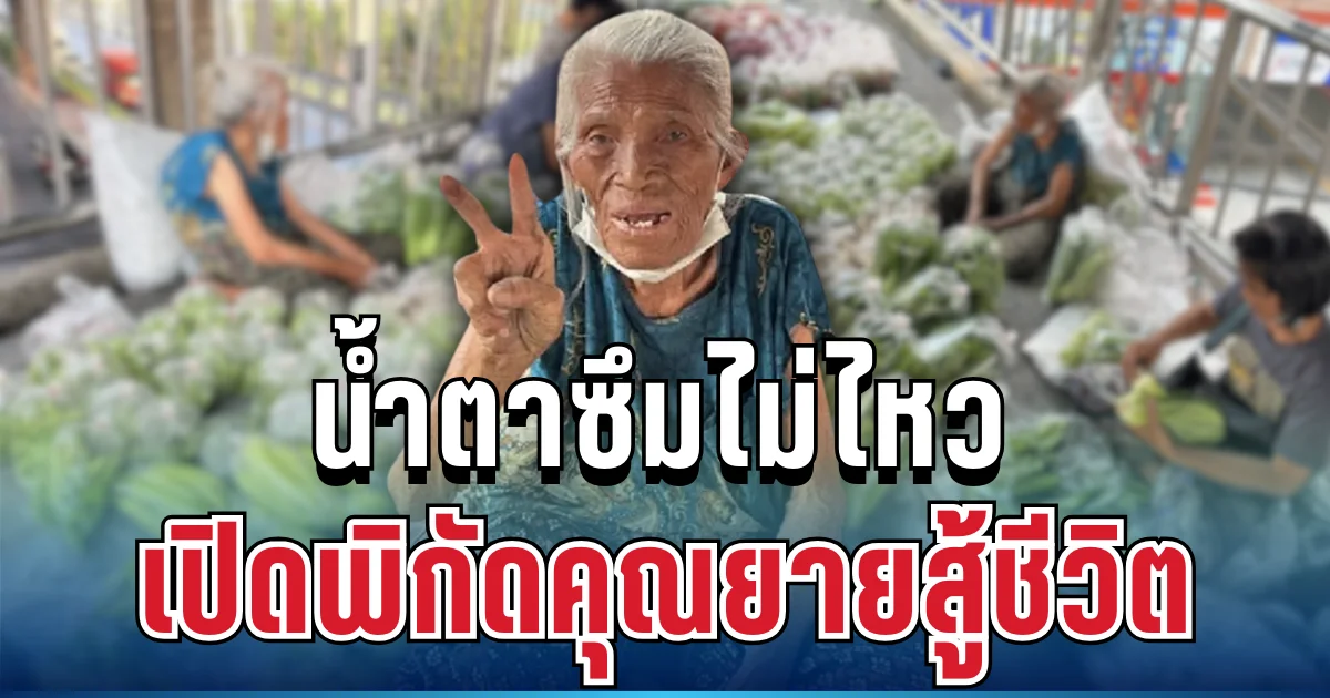 น้ำตาซึมไม่ไหว เปิดพิกัดคุณยายขายผักสู้ชีวิต หลังคลิปซ้อนท้ายมอเตอร์ไซค์ดังสนั่น