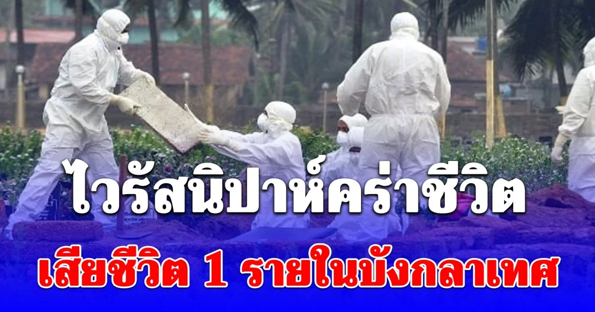 WHO เผยหญิงบังกลาเทศดับ หลัง ติดไวรัสนิปาห์