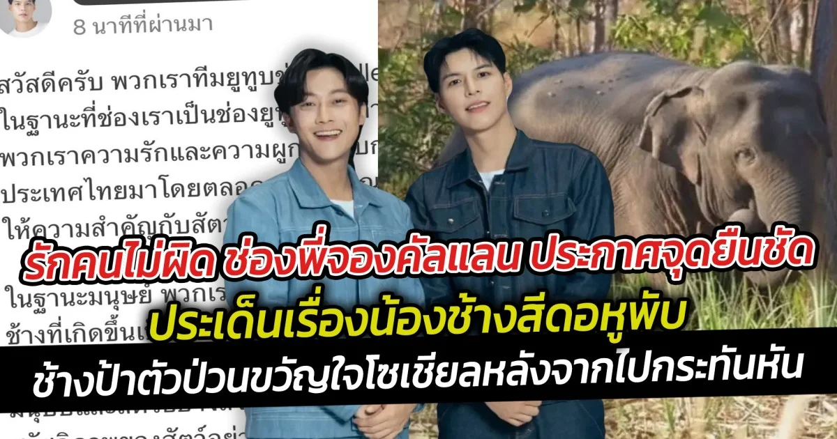 รักคนไม่ผิด ช่องพี่จองคัลแลน ประกาศจุดยืนชัด ประเด็นเรื่องน้องช้างสีดอหูพับ