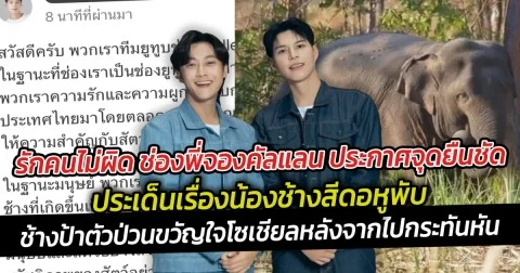 รักคนไม่ผิด ช่องพี่จองคัลแลน ประกาศจุดยืนชัด ประเด็นเรื่องน้องช้างสีดอหูพับ