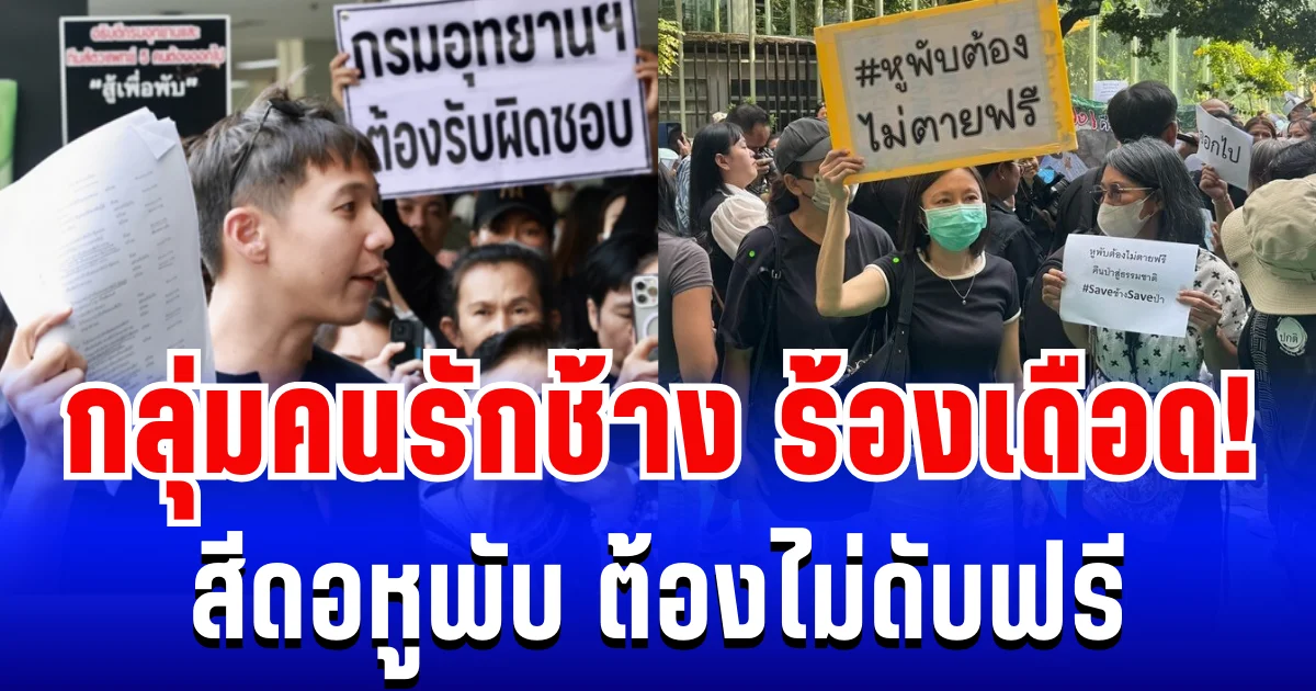 กลุ่มคนรักช้าง เดือด! บุกกรมอุทยานฯ ร้องปมสีดอหูพับ ดับขณะเคลื่อนย้าย