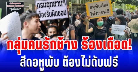 กลุ่มคนรักช้าง เดือด! บุกกรมอุทยานฯ ร้องปมสีดอหูพับ ดับขณะเคลื่อนย้าย
