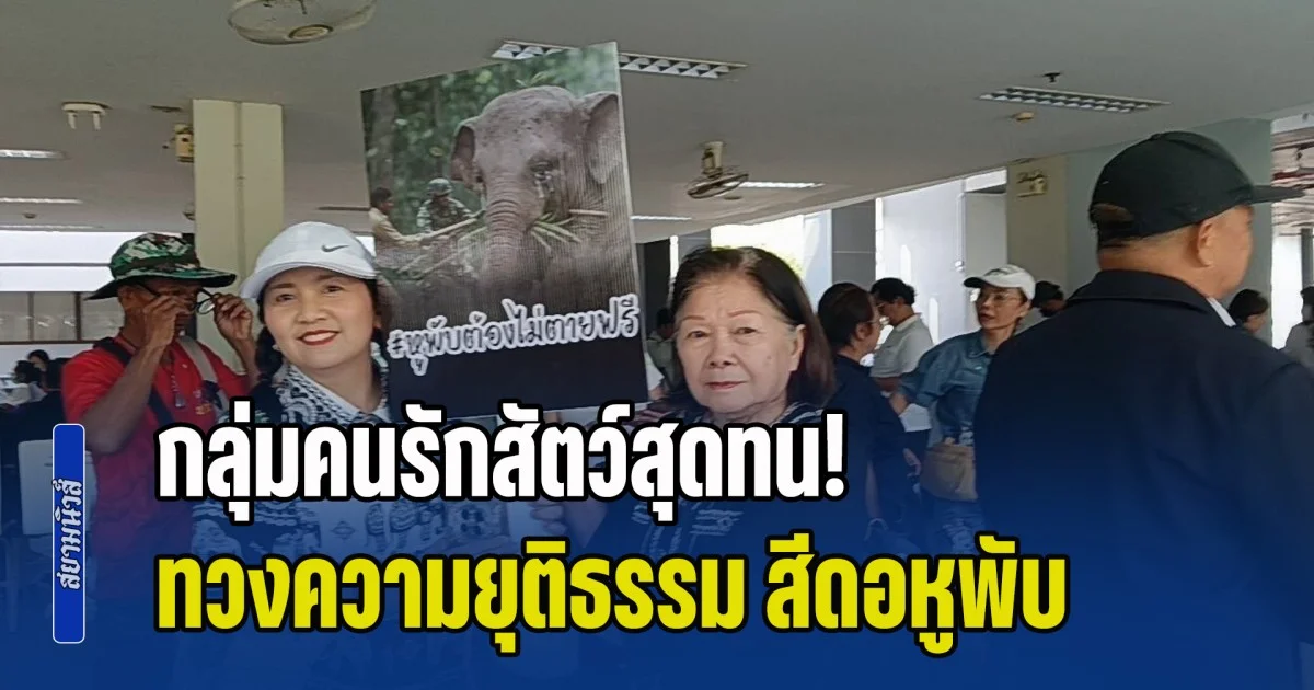กลุ่มคนรักสัตว์สุดทน! รวมพลร่วมทวงความยุติธรรม ให้ช้างป่า สีดอหูพับ