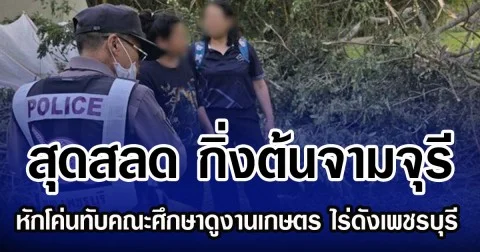 สุดสลด กิ่งต้นจามจุรี หักโค่นทับคณะศึกษาดูงานเกษตร ไร่ดังเพชรบุรี