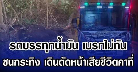 รถบรรทุกน้ำมัน เบรกไม่ทัน ชนกระทิง เดินตัดหน้าเสียชีวิตคาที่