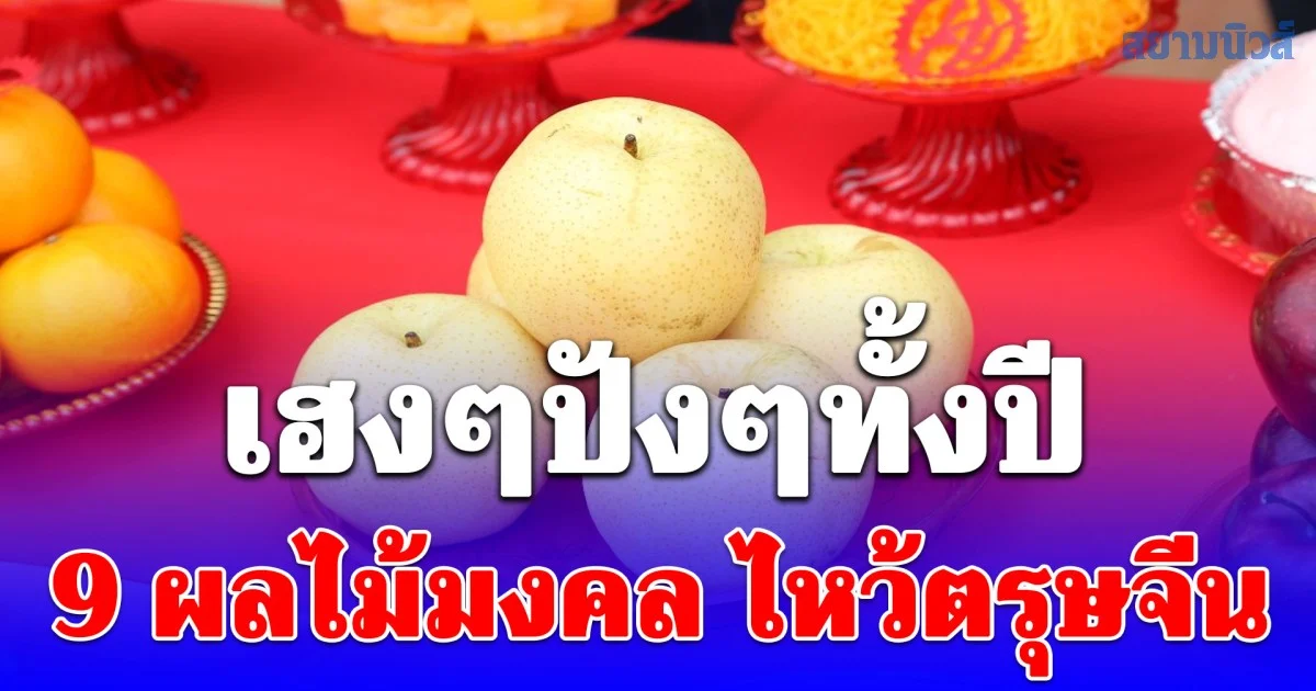 ปังทั้งปี  9 ผลไม้มงคล ไหว้ตรุษจีน