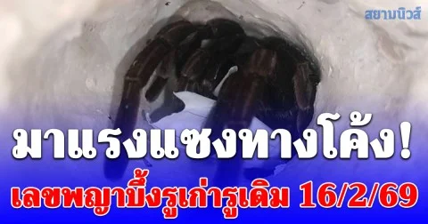 มาแรงแซงทางโค้ง! เลขพญาบึ้งรูเก่ารูเดิม 16/2/69