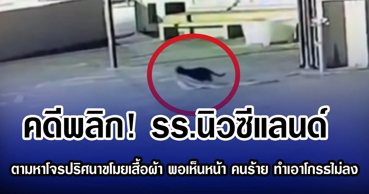 คดีพลิก! รร.นิวซีแลนด์ วุ่นตามหาโจรปริศนาขโมยเสื้อผ้าหายร่วมปี พอเห็นหน้า คนร้าย ทำเอาโกรธไม่ลง (ข่าวต่างประเทศ)