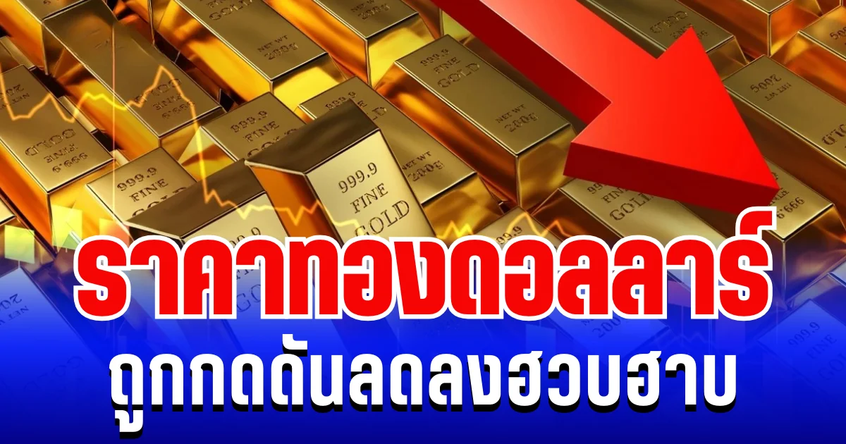 มือไม้สั่น! ราคาทองดอลลาร์ ถูกกดดันลดลงฮวบ แนะนำการลงทุน