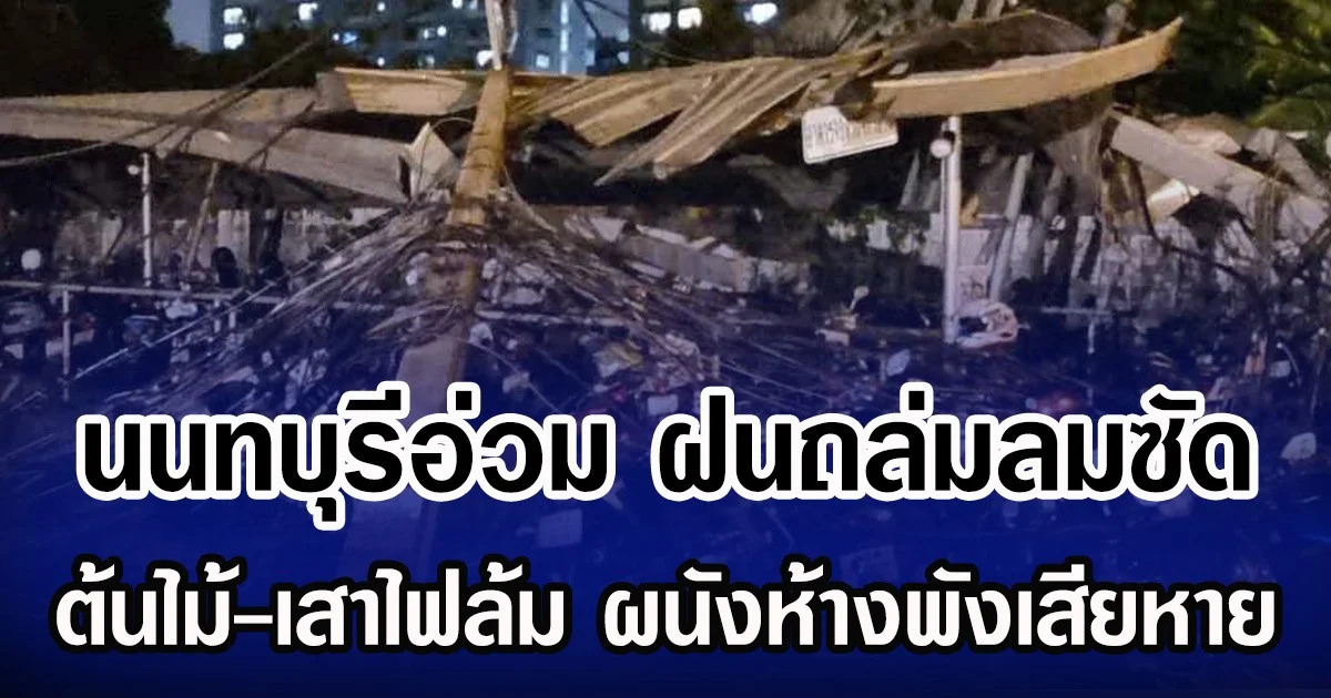 นนทบุรีอ่วม ฝนถล่มลมซัด ต้นไม้-เสาไฟล้ม ผนังห้างพังเสียหาย