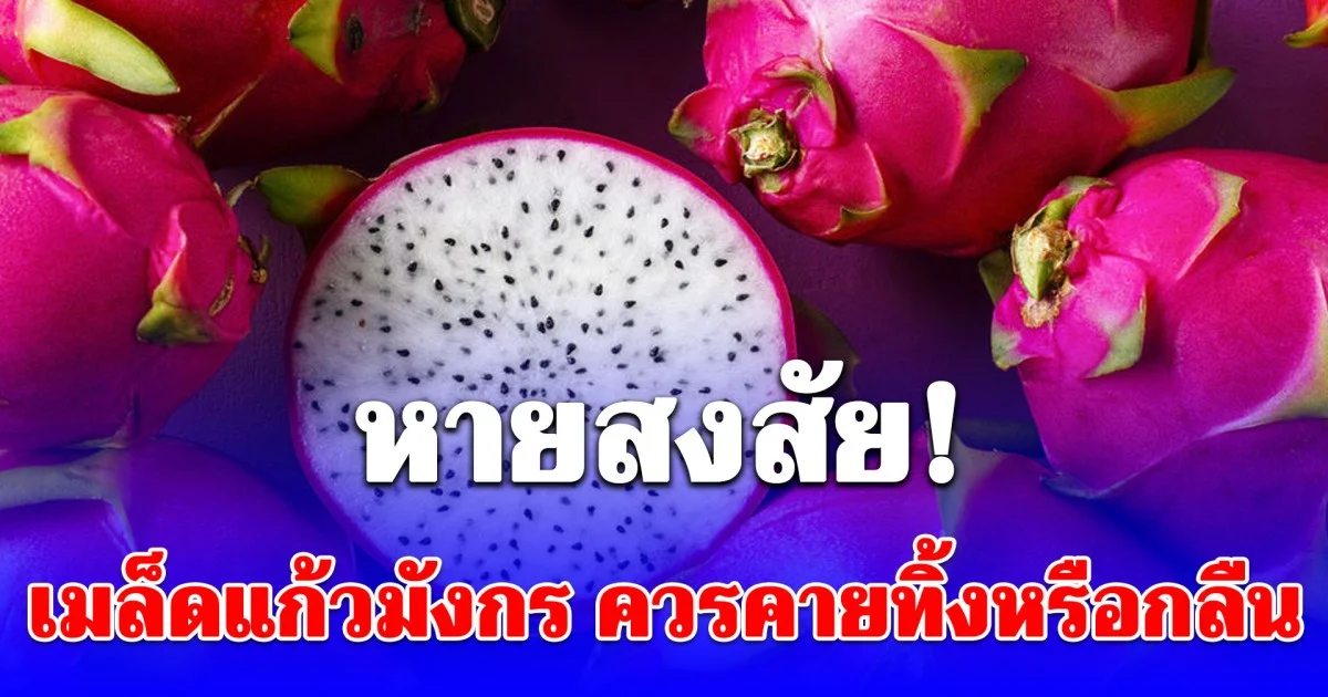 หายสงสัย! เมล็ดแก้วมังกร ควรคายทิ้งหรือกลืน