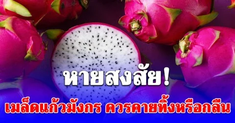 หายสงสัย! เมล็ดแก้วมังกร ควรคายทิ้งหรือกลืน