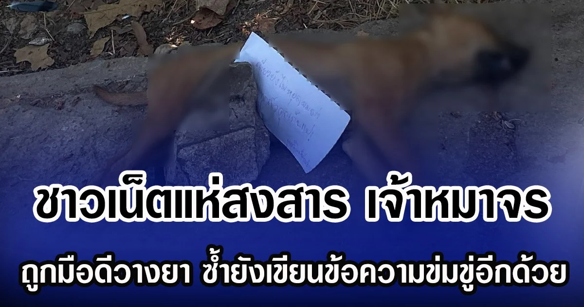 ชาวเน็ตแห่สงสาร เจ้าหมาจร ถูกมือดีวางยา ซํ้ายังเขียนข้อความข่มขู่อีกด้วย