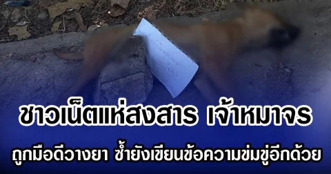 ชาวเน็ตแห่สงสาร เจ้าหมาจร ถูกมือดีวางยา ซํ้ายังเขียนข้อความข่มขู่อีกด้วย