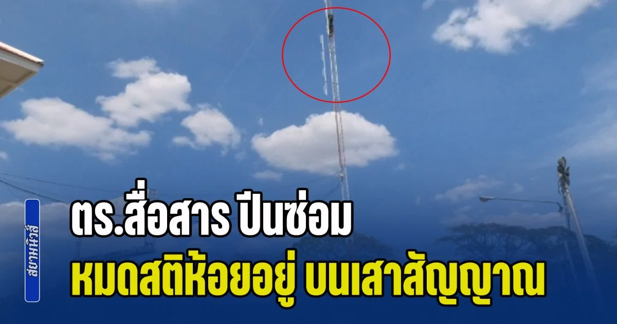 ระทึก! ตร.สื่อสาร ปีนซ่อม หมดสติห้อยอยู่ บนเสาสัญญาณสูงกว่า 40 เมตร