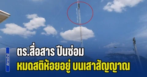 ระทึก! ตร.สื่อสาร ปีนซ่อม หมดสติห้อยอยู่ บนเสาสัญญาณสูงกว่า 40 เมตร