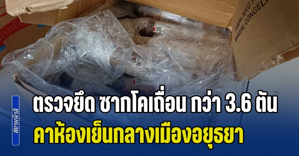 ตรวจยึด ซากโคเถื่อน กว่า 3.6 ตัน คาห้องเย็นกลางเมืองอยุธยา