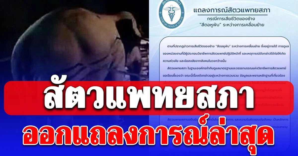สัตวแพทยสภา ออกแถลงการณ์ล่าสุด กรณีสีดอหูพับล้ม
