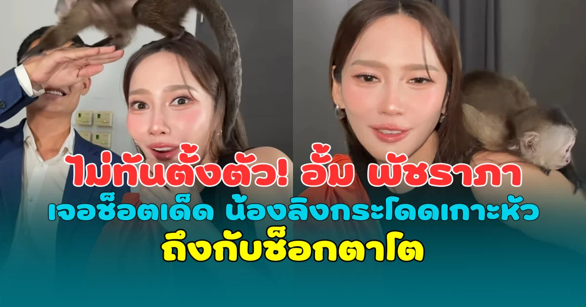 ไม่ทันตั้งตัว! อั้ม พัชราภา เจอช็อตเด็ด น้องลิงกระโดดเกาะหัว ถึงกับช็อกตาโต