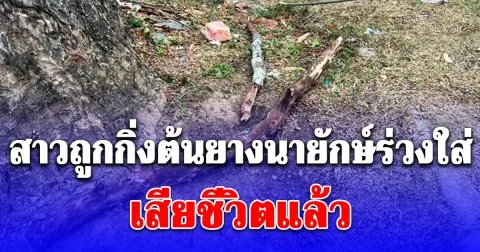 เศร้า สาวถูก กิ่งต้นยางนายักษ์ ร่วงใส่เสียชีวิตแล้ว