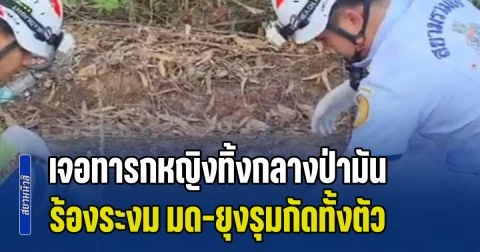 นึกว่าผีหลอก! ป้าหาไข่มดแดง เจอทารกหญิงทิ้งกลางป่ามันสำปะหลัง ร้องระงม มด-ยุงรุมกัดทั้งตัว