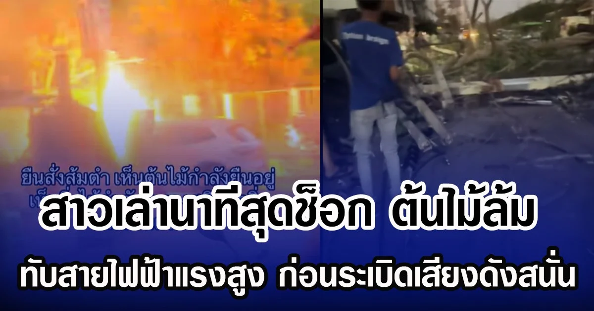 สาวเล่านาทีสุดช็อก ต้นไม้ล้ม ทับสายไฟฟ้าแรงสูง ก่อนระเบิดเสียงดังสนั่น