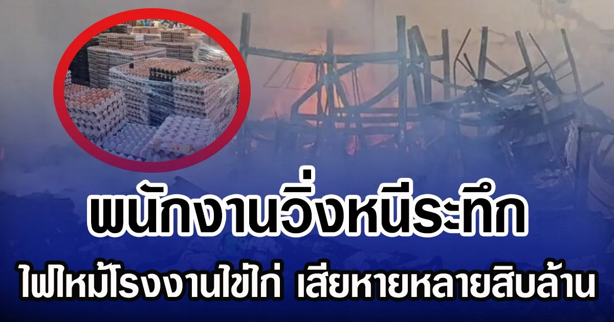พนักงานวิ่งหนีระทึก ไฟไหม้โรงงานไข่ไก่ เสียหายหลายสิบล้าน