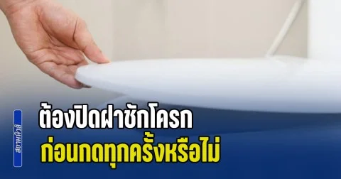 ไขข้อสงสัย ต้องปิดฝาชักโครก ก่อนกดทุกครั้งหรือไม่