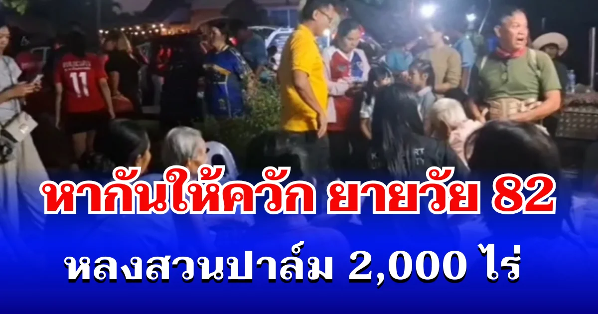 หากันให้ควัก! ยายวัย 82 หลงสวนปาล์ม 2,000 ไร่ ก่อนพบหมดเเรงนอนอิดโรย
