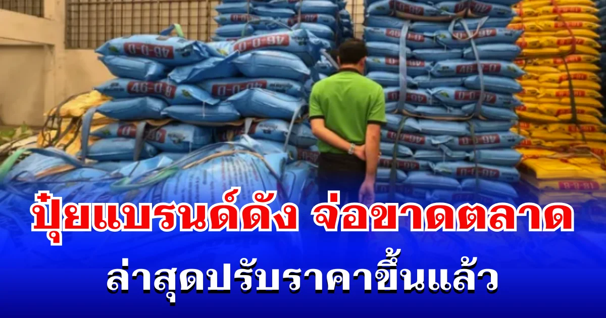 กระทบแรง! ปุ๋ยแบรนด์ดัง จ่อขาดตลาด ล่าสุดปรับราคาขึ้นแล้ว