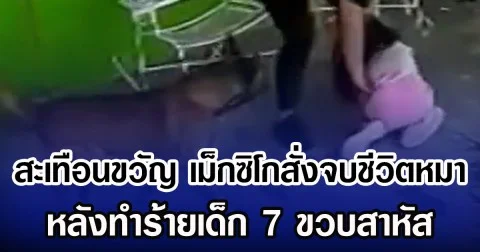 สะเทือนขวัญ เม็กซิโกสั่งจบชีวิตหมา หลังทำร้ายเด็ก 7 ขวบสาหัส
