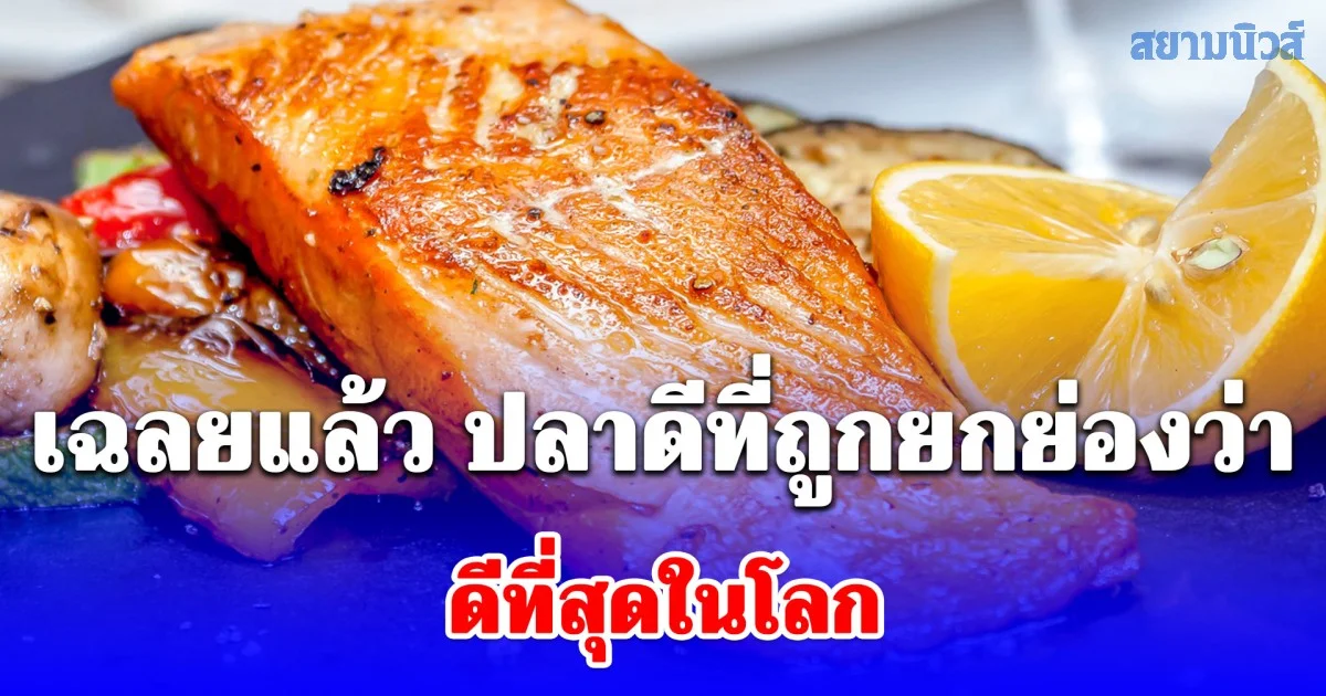 เฉลยแล้ว ปลาดีที่ถูกยกย่องว่า ดีที่สุดในโลก แท้จริงแล้วเป็นปลาที่คุ้นเคยในบ้านเรา