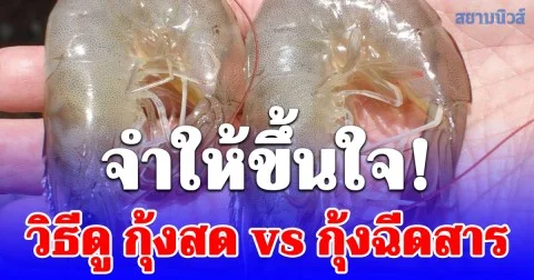 จำให้ขึ้นใจ! วิธีดู กุ้งสด vs กุ้งฉีดสาร