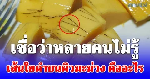 กระจ่างแล้ว! เส้นใยดำบนผิวมะม่วง คืออะไร เชื่อว่าหลายคนไม่รู้